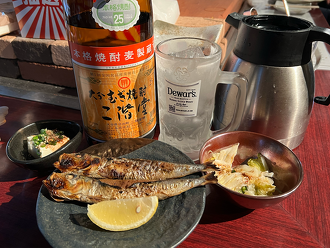 YASAI流ソロ飲みのすゝめ【導入編】のサムネイル画像